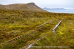 200724_Svenskehuset_158_E