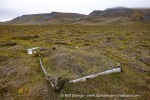 210727_Svenskehuset_016_E