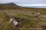 210727_Svenskehuset_030_E