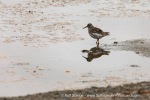 210817c_Mollbukta_046_E