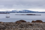 210817c_Mollbukta_122_E