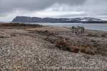 210817c_Mollbukta_139_E
