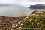 a5e_Faksevagen_24Juli14_045_E