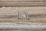 18_f3j_Hingstsletta_08Juli13_114_E