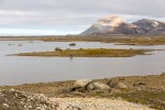 170731a_Collinsodden_022_E