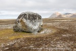 170731a_Collinsodden_027_E