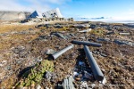 170731a_Collinsodden_081_E
