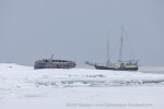 2500501a_Skansbukta_35_E