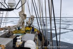 2500501b_Billefjord_06_E