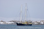 250502a_Farmhamna_11_E