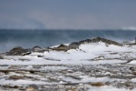 250502a_Farmhamna_15_E