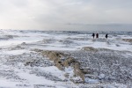250502a_Farmhamna_35_E