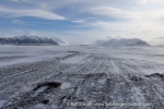 250502a_Farmhamna_36_E