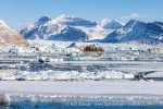 250503b_Kongsfjord_19_E
