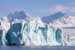 250503b_Kongsfjord_87_E