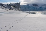 250504a_Fjortende-Julibukta_21_E