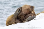 250506a_Sarstangen_26_E