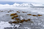 250506b_Selvaagen_22_E