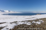 250507a_Colesbukta_38_E
