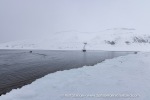 250501a_Skansbukta_02_E