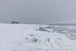 250501a_Skansbukta_28_E