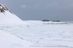 250501a_Skansbukta_36_E