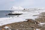 250502a_Farmhamna_08_E