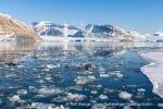 250503b_Kongsfjord_40_E