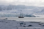 250504a_Fjortende-Julibukta_81_E