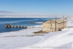 250507a_Colesbukta_16_E
