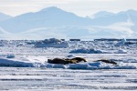 250507c_Borebukta_05_E