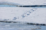 250507c_Borebukta_41_E