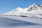 250523c_Trygghamna_21_E