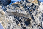 250523c_Trygghamna_42_E