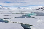 250524_Borebukta_19_E