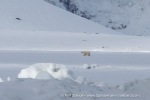 250524_Borebukta_25_E