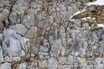 250529a_Hamiltonbukta_09_E
