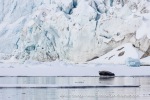 250529a_Hamiltonbukta_32_E