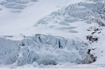 250529a_Hamiltonbukta_59_E