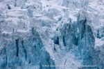 250529c_Fuglefjord_18_E