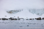 250529c_Fuglefjord_36_E