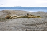 250530a_Sarstangen_03_E