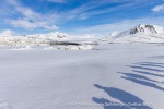 250531a_Trygghamna_33_E