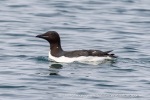 250601a_Borebukta_40_E