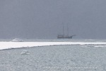 250601a_Borebukta_45_E