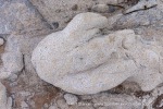250601b_Bohemanneset_07_E