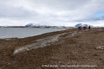 250601b_Bohemanneset_20_E