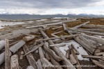 250601b_Bohemanneset_30_E