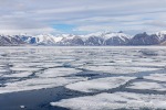 250602b_Billefjord_22_E