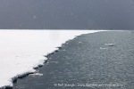 250601a_Borebukta_44_E